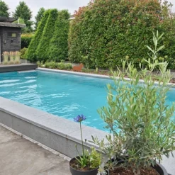 Arizona Bouwkundig Inbouwzwembad